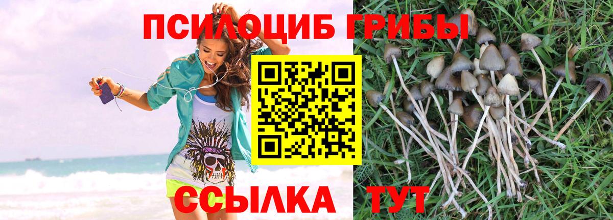 Великие Луки  Галлюциногенные грибы GOLDEN TEACHER  Вход с VPN 